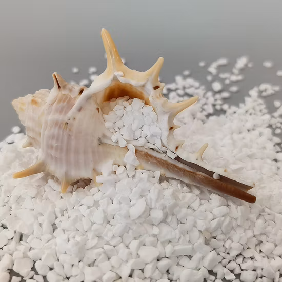 Utilisation de réfractaires matières premières alumine de corindon tabulaire